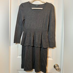 Spense Charcoal Long Sleeve sweater Dress size petite medium